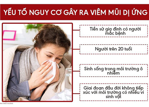 Viêm mũi dị ứng là bệnh về đường hô hấp phổ biến