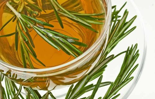 Trong đông y tinh dầu hương thảo được sử dụng như một vị thuốc để chữa bệnh