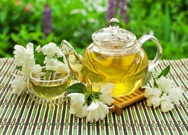 Uống trà hoa nhài và giảm các tế bào mỡ trong cơ thể