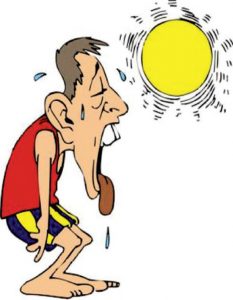 Cấp cứu say nắng, nóng hiệu quả bằng những bài thuốc Đông Y